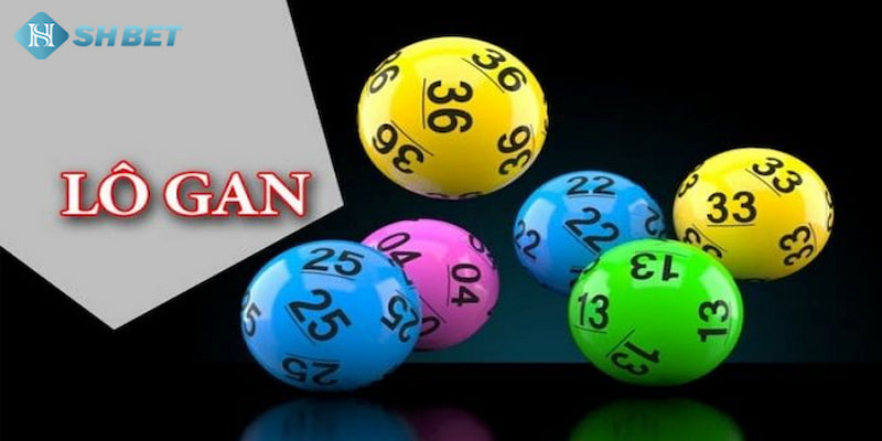 Banner www.chatve.vn