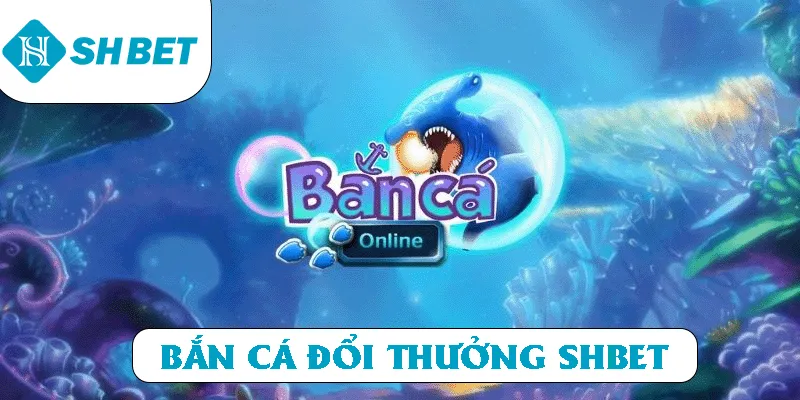 Banner www.chatve.vn