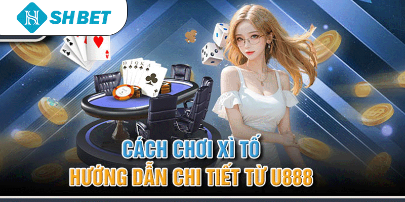 Banner www.chatve.vn