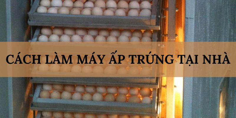 Banner www.chatve.vn