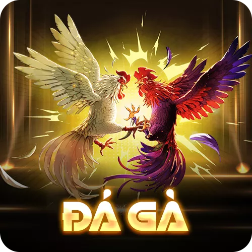 Banner www.chatve.vn