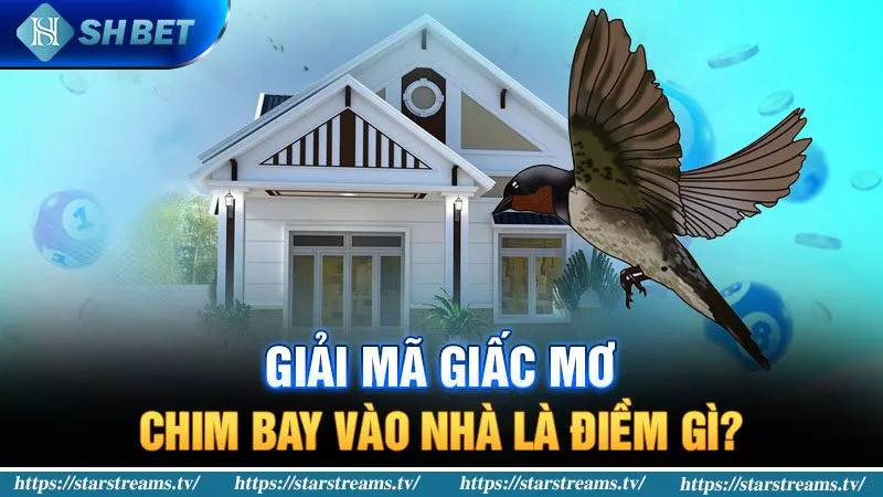 Banner www.chatve.vn