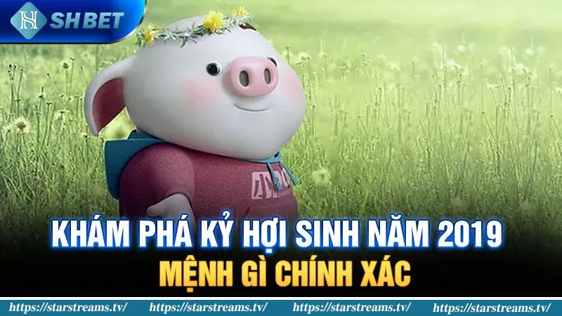 Banner www.chatve.vn