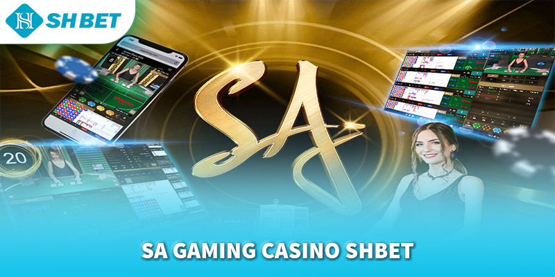 Banner www.chatve.vn