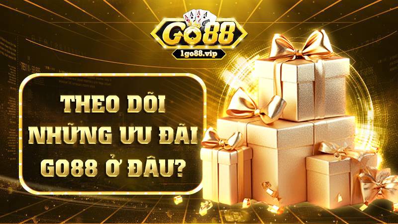 Banner www.chatve.vn