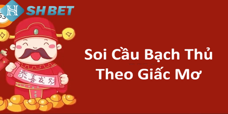 Banner www.chatve.vn