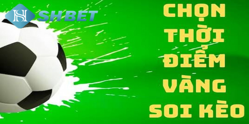 Banner www.chatve.vn