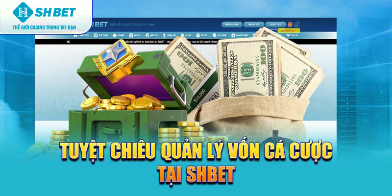 Banner www.chatve.vn